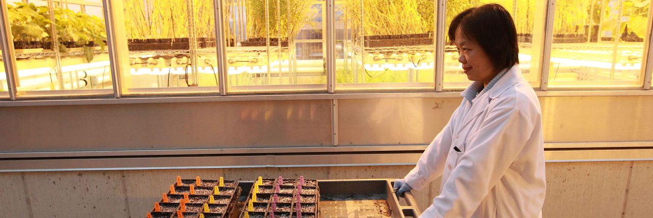 Científicos en una investigación sobre plantas